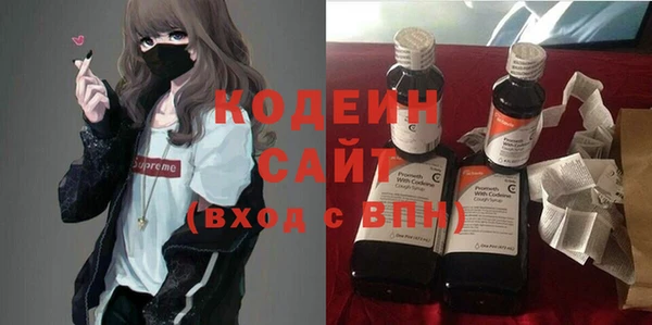 хмурый Алексин