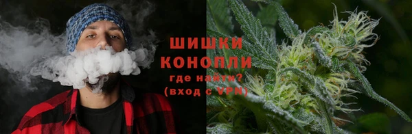 PSILOCYBIN Алзамай