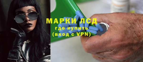 хмурый Алексин