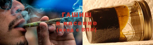 хмурый Алексин