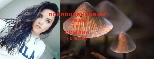 PSILOCYBIN Алзамай