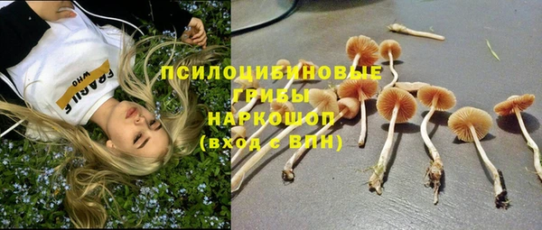 прущая мука Абинск