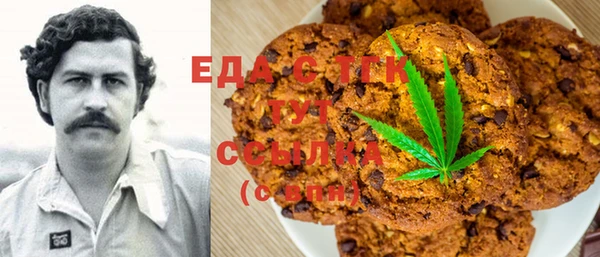 хмурый Алексин