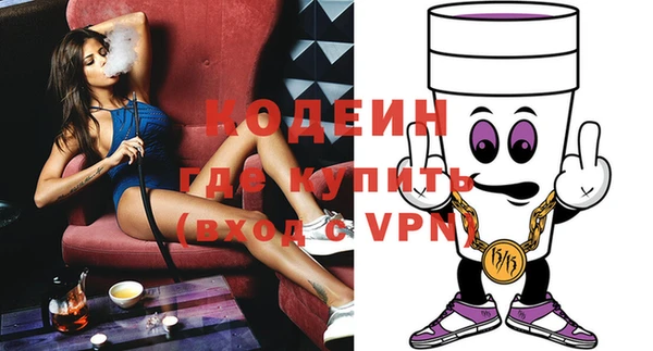 хмурый Алексин