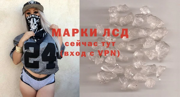 PSILOCYBIN Алзамай