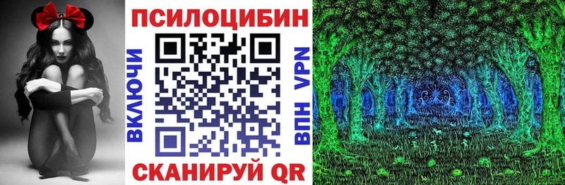 где найти наркотики  Гаджиево  площадка телеграм  Галлюциногенные грибы мицелий 